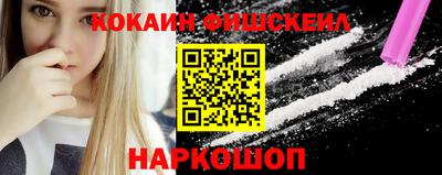 стафф Камышлов