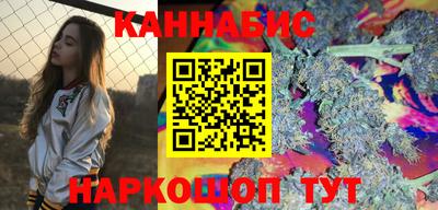 стафф Камышлов