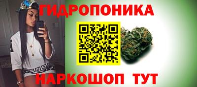 стафф Камышлов