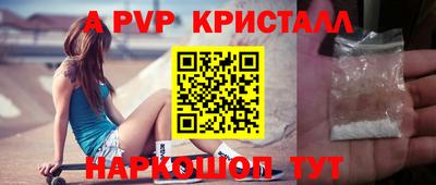 стафф Камышлов