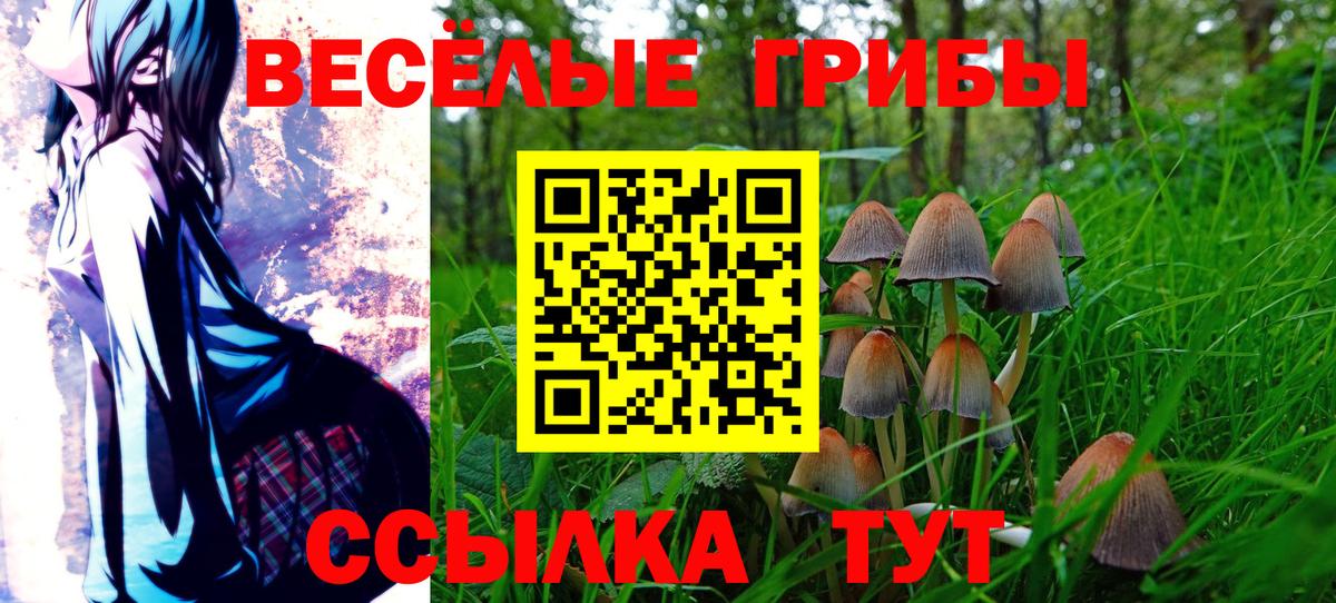 Галлюциногенные грибы Magic Shrooms  Псилоцибиновые грибы Psilocybine cubensis  купить наркотики сайты  Вход с VPN  Кстово 