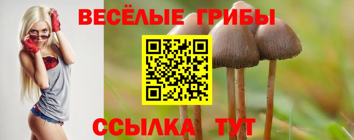 Галлюциногенные грибы Psilocybine cubensis Кстово